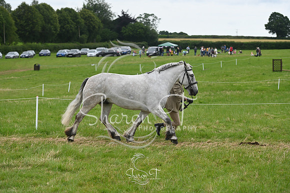 140049-STP_5282