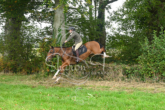 STP_3745