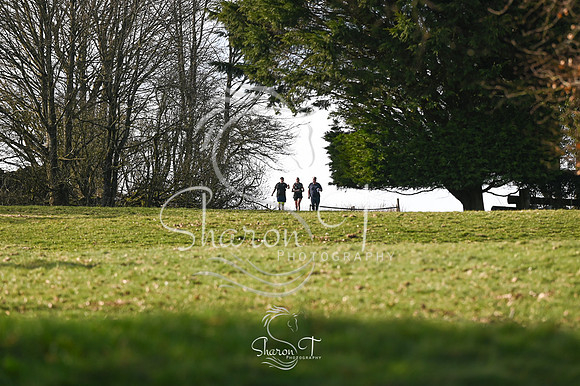 STP_0116