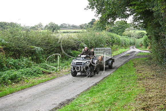 DSC_2628