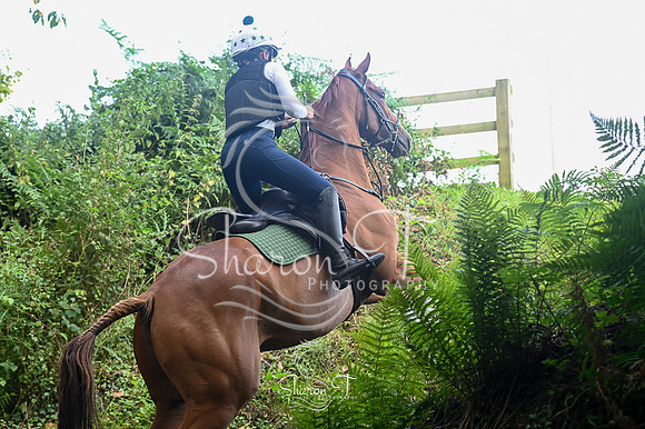 STP_0946