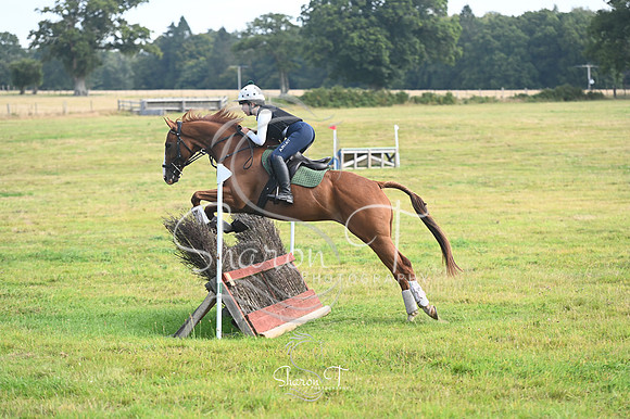 STP_0966