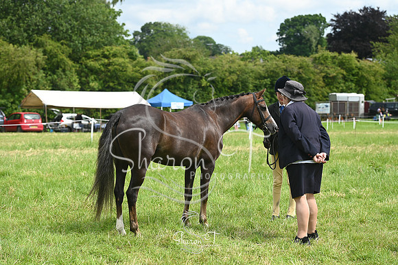145905-STP_5392