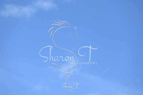 152755-STP_5480