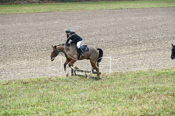 STP_7496