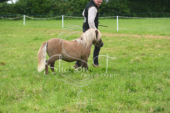 142141-STP_5349