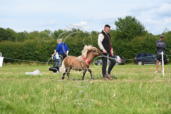 151706-STP_5436