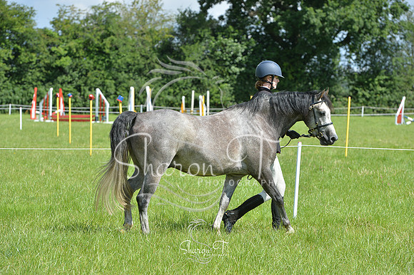 103438-DSB_1416