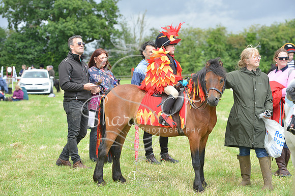 123536-DSC_5961
