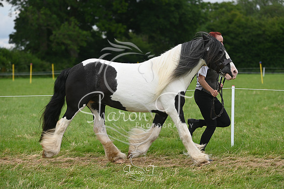 125625-STP_5139