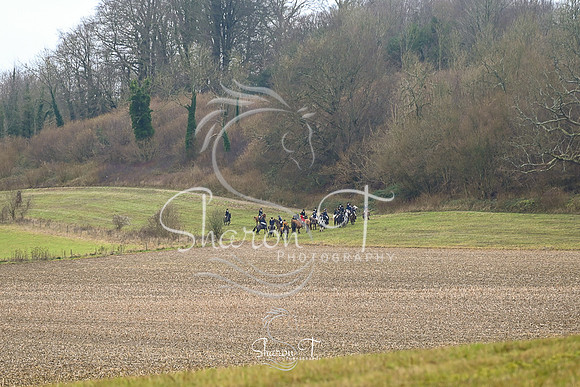 STP_7430