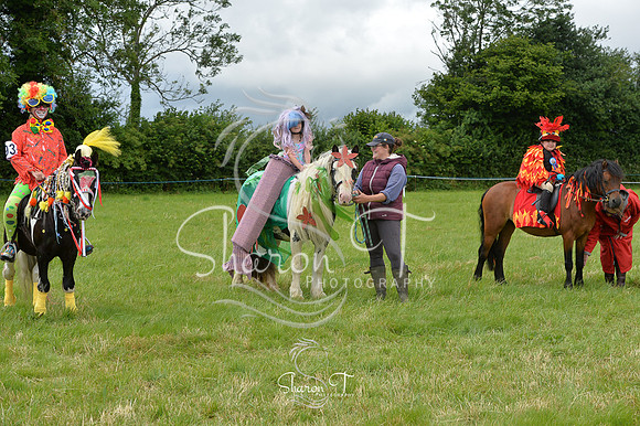 130144-DSB_1168