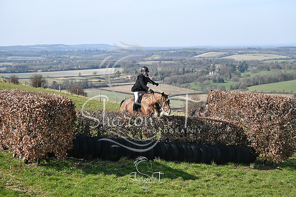 STP_9881