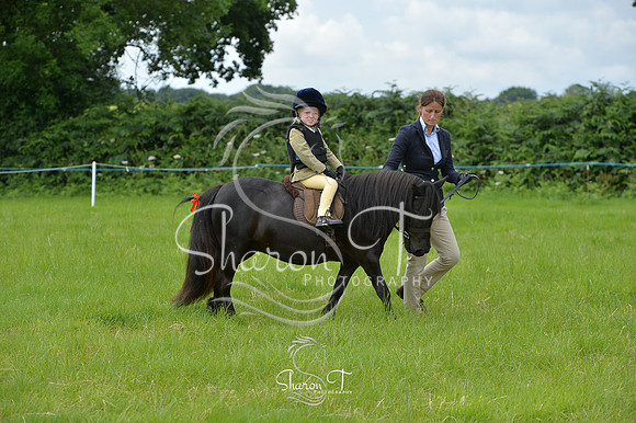 120610-DSB_1592