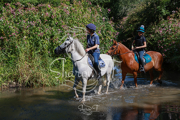 IMG_0917