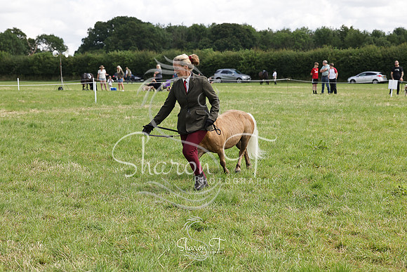 110933-IMG_2713