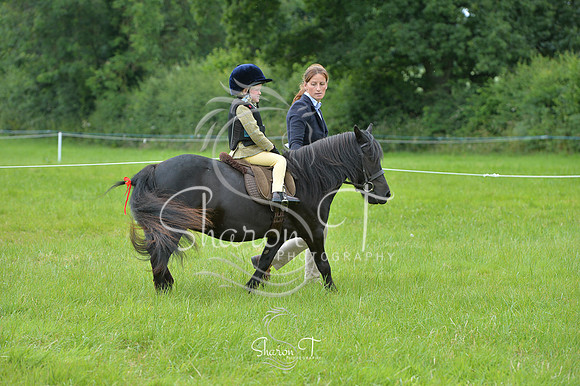 120600-DSB_1591