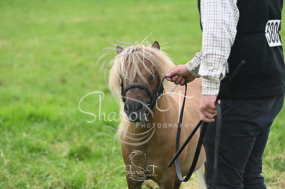 141904-STP_5337