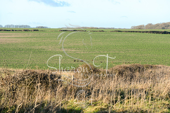 DSC_2975