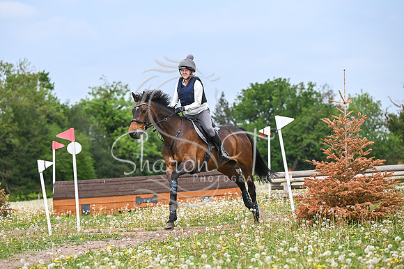 STP_6353