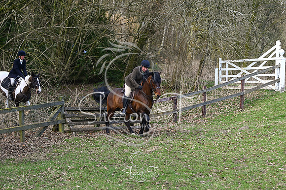 STP_0975