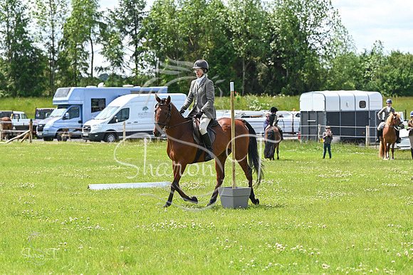 STP_9295