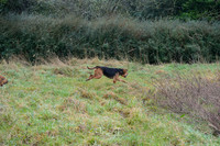 DSC_2271