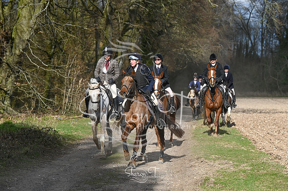 STP_0854