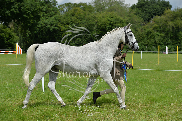 112136-DSB_1525