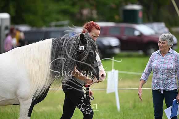 130054-DSC_1753