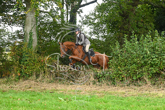 STP_3727