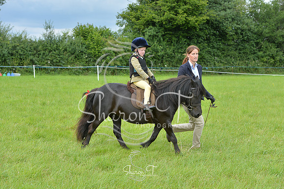 120832-DSB_1610