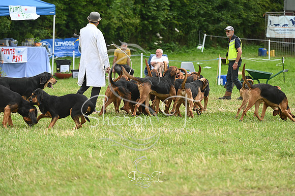 132918-STP_5231