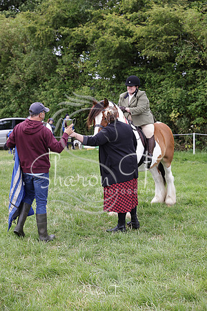 122813-IMG_1950