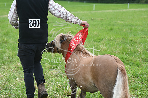142642-STP_5358