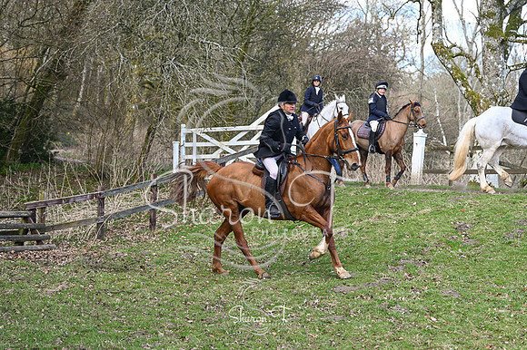 STP_0959