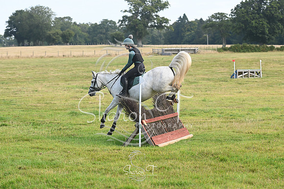 STP_0993