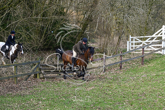 STP_0974