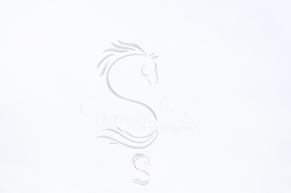 141703-STP_5334
