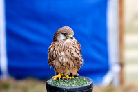 IMG_9081