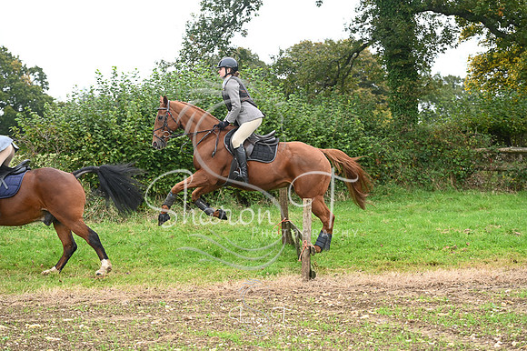 STP_3581