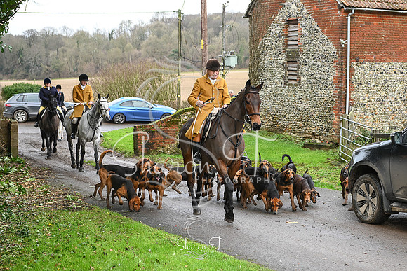 DSC_2745